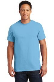 Gildan - Ultra Cotton 100% US Cotton T-Shirt. 2000 - Image 55