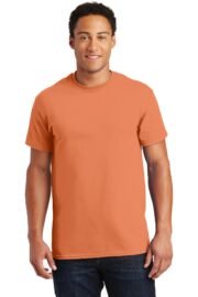 Gildan - Ultra Cotton 100% US Cotton T-Shirt. 2000 - Image 59
